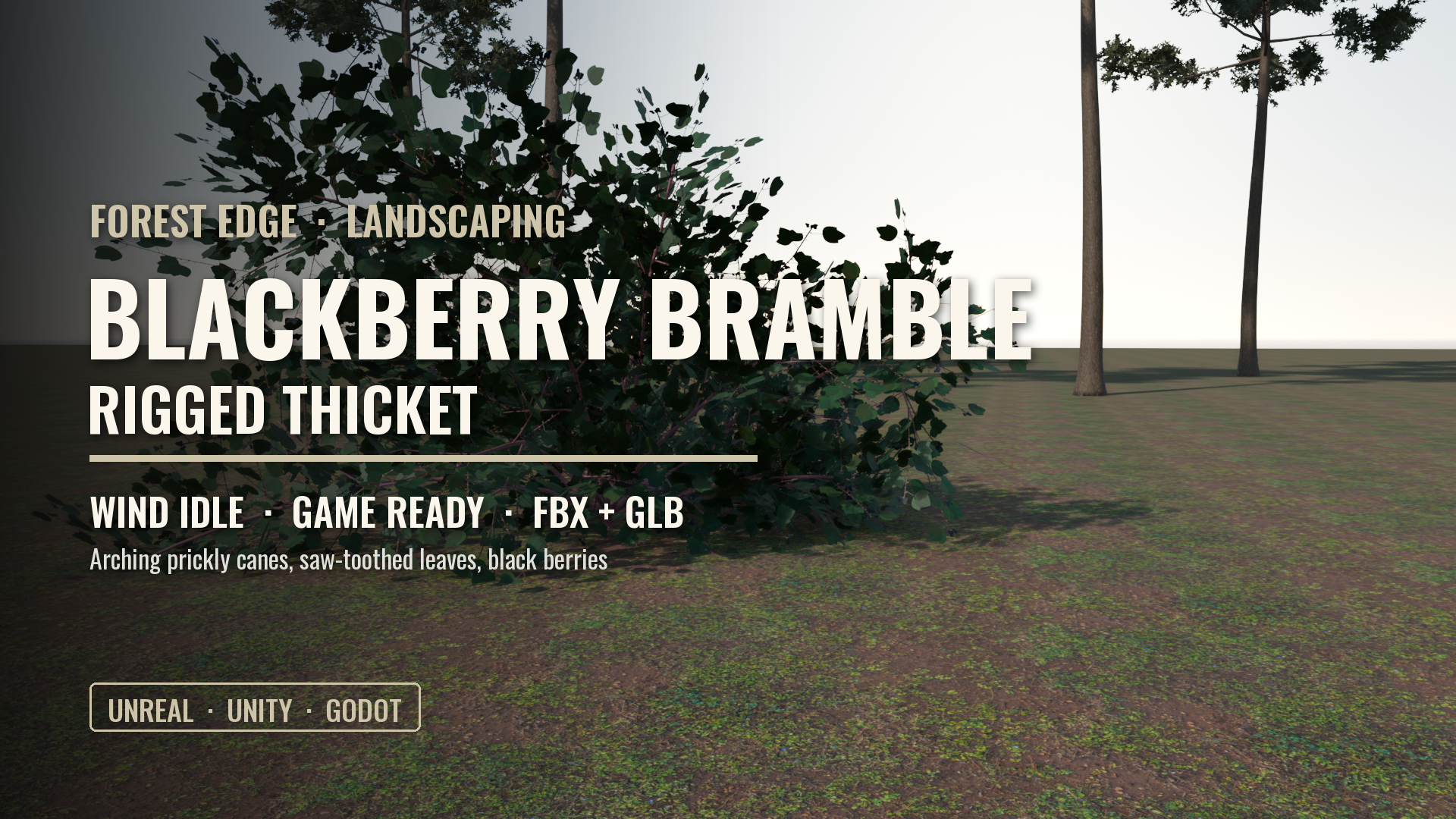 Blackberry Bramble Thicket (Rigged, Wind Idle)