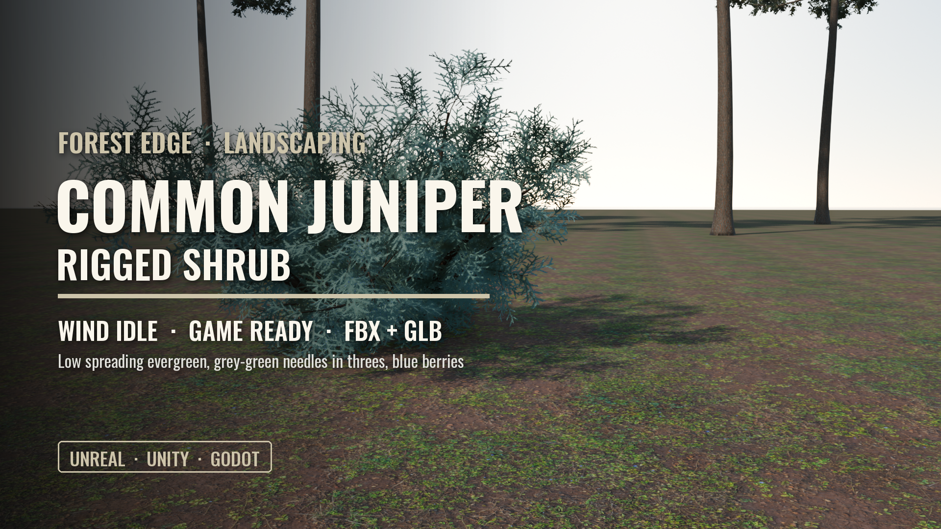Common Juniper Shrub (Rigged, Wind Idle)