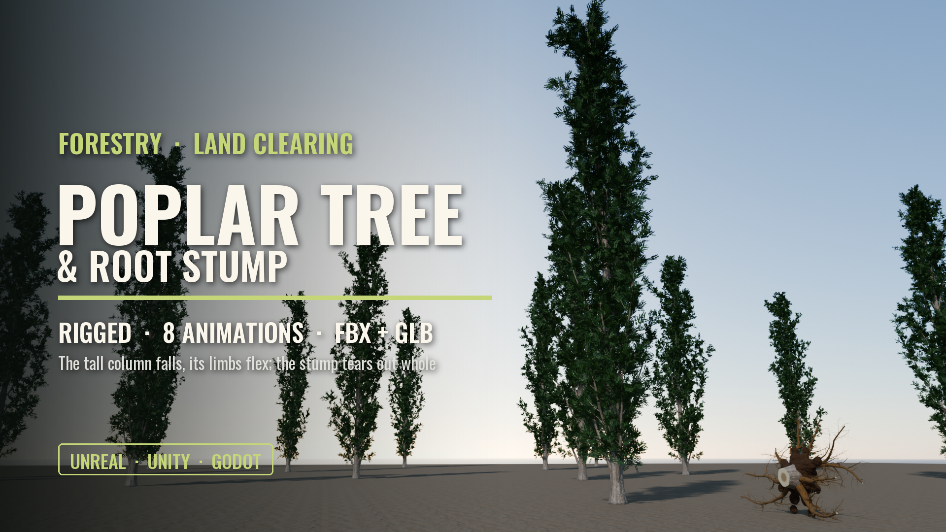 Lombardy Poplar Tree & Root Stump (Rigged: Felling, Limb Flex, Stump Pull-Out)