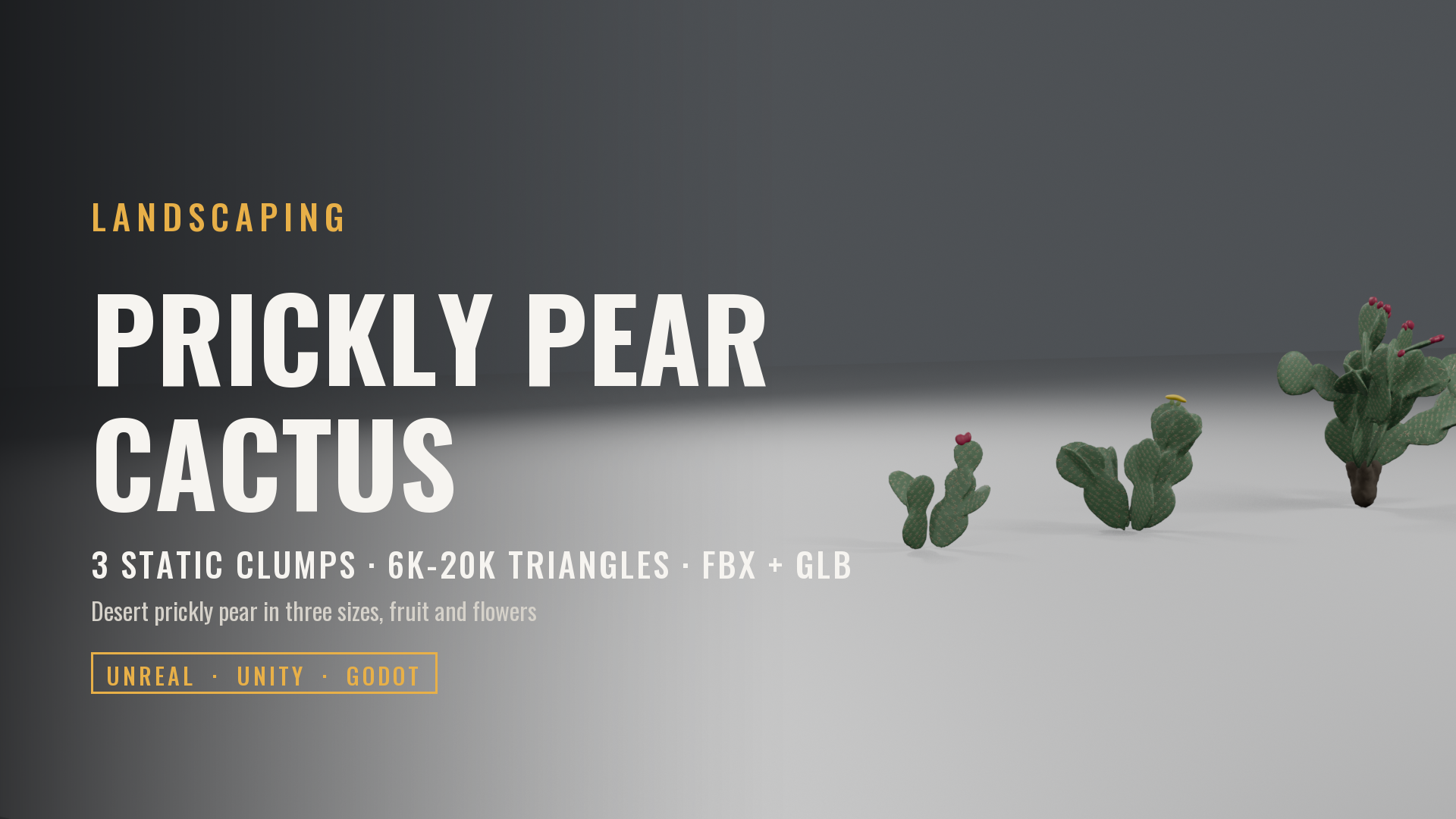Prickly Pear Cactus Set