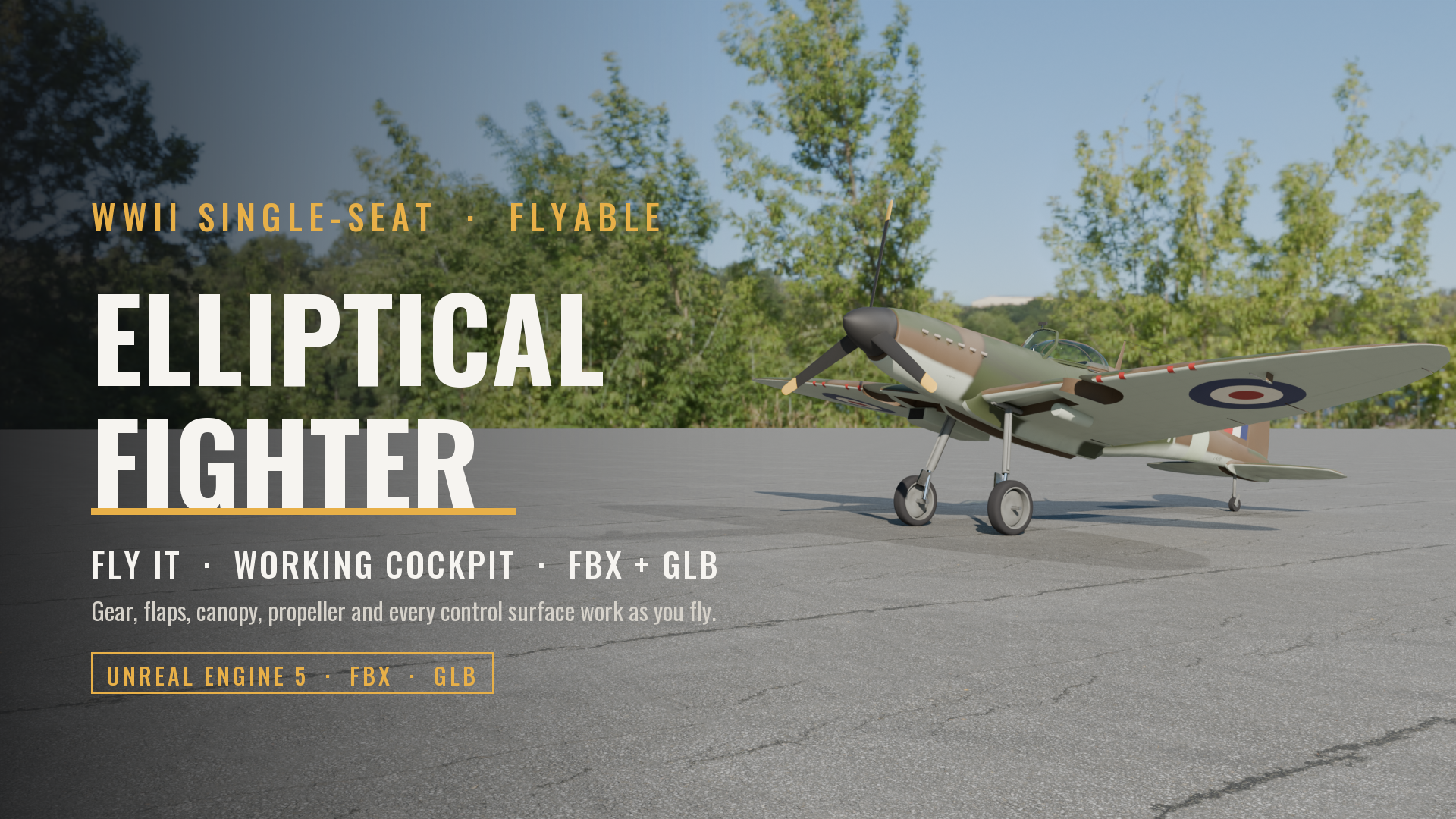 Flyable WWII Elliptical-Wing Fighter (Working Cockpit, Gear, Flaps, Canopy and Flight Controls)