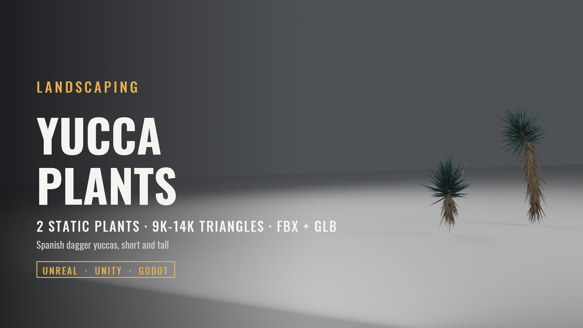 Yucca Set